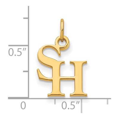 Sam Houston State University 10K Yellow Gold Extra Small Pendant – view 2