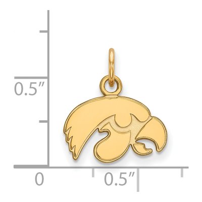 University of Iowa 10K Yellow Gold Extra Small Hawk Pendant – view 2
