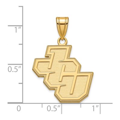 John Carroll University 10K Yellow Gold Medium Pendant – view 2