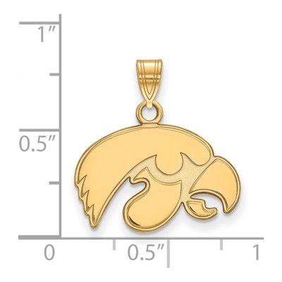 University of Iowa 10K Yellow Gold Hawk Small Pendant – view 2