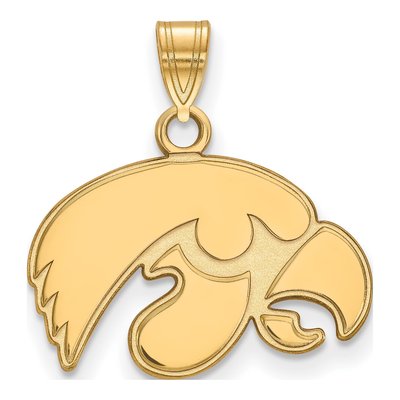 University of Iowa 10K Yellow Gold Hawk Small Pendant