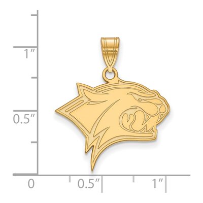 University of New Hampshire 10K Yellow Gold UNH Wildcats Large Pendant – view 2