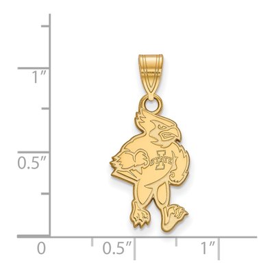 Iowa State University 10K Yellow Gold Large Cardinal Pendant – view 2