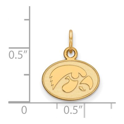 University of Iowa 10K Yellow Gold Extra Small Hawk Pendant – view 2