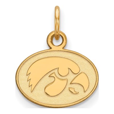 University of Iowa 10K Yellow Gold Extra Small Hawk Pendant