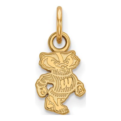 University of Wisconsin 10K Yellow Gold Of Badger Extra Small Pendant