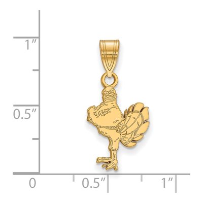 Virginia Tech 10K Yellow Gold Hokiebird Medium Pendant – view 2