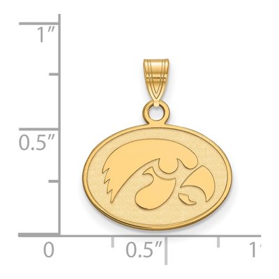 University of Iowa 10K Yellow Gold Small Of Hawk Pendant – view 2
