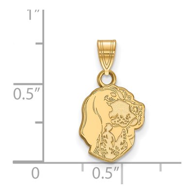University of Tennessee 10K Yellow Gold Small Smokey Pendant – view 2