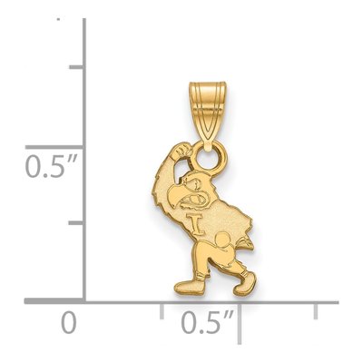 University of Iowa 10K Yellow Gold Hawk Small Pendant – view 2