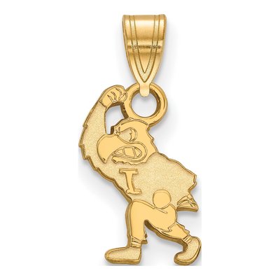 University of Iowa 10K Yellow Gold Hawk Small Pendant