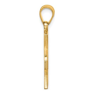 Indiana State University 14K Yellow Gold Sycamores Large Pendant – view 2