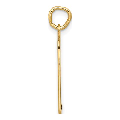 14K Yellow Gold Birth Certificate Charm – view 3