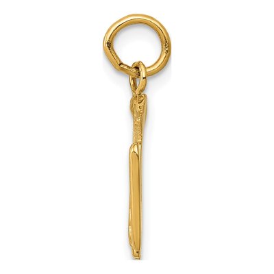14K Yellow Gold Registered Nurse Pendant – view 3