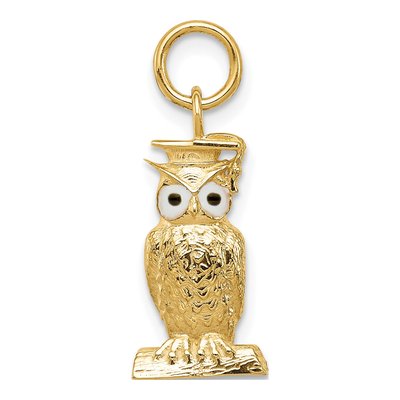14K Yellow Gold Enameled Graduation Owl Charm