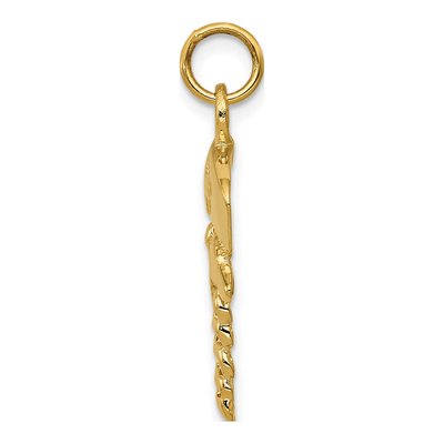 14K Yellow Gold Nurse Symbol Pendant – view 3