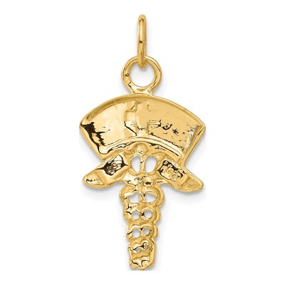 14K Yellow Gold Nurse Symbol Pendant – view 4