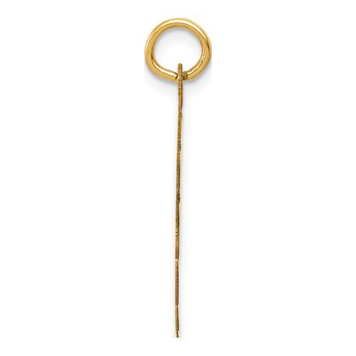 14K Yellow Gold Wrestling Disc Charm – view 3