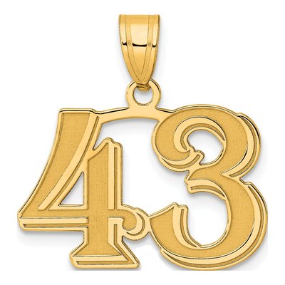 14K Yellow Gold Number 43 Pendant