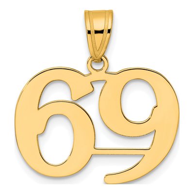 14K Yellow Gold Number 69 Pendant