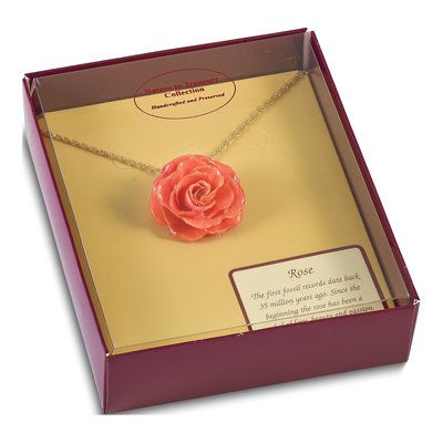 Real Rose Pendant Necklace, 20in Gold-tone Chain – view 5