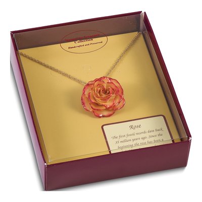 Real Rose Necklace, 20in Gold-tone Chain – view 5