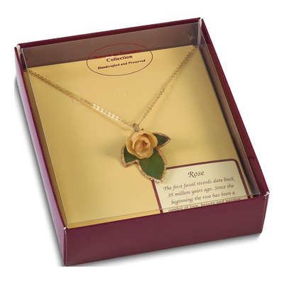 Real White Rose & Leaf 20" Gold-Tone Necklace – view 6