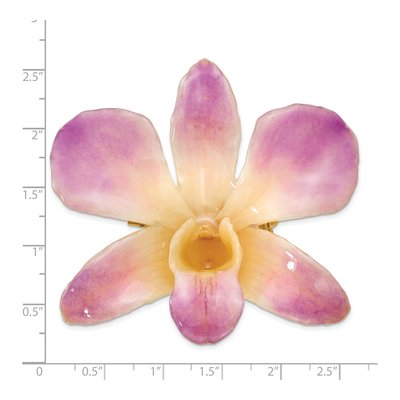 Real Dendrobium Orchid Pin Brooch, Purple & White – view 5