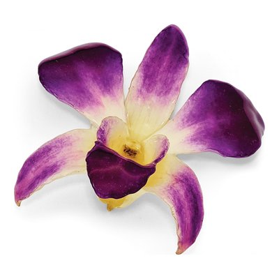 Real Dendrobium Orchid Pin Brooch, Purple & White