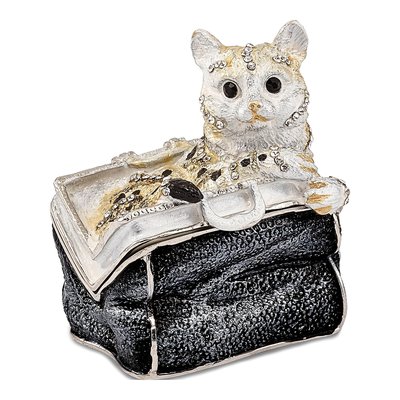 Miss Kitty Cat in Purse Trinket Box & Necklace