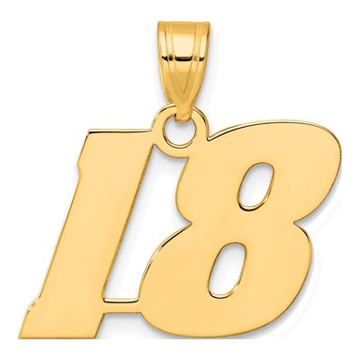 14K Yellow Gold Number 18 Pendant