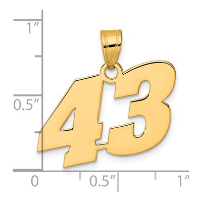 14K Yellow Gold Number 43 Pendant – view 5