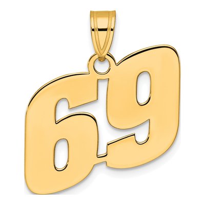14K Yellow Gold Number 69 Pendant