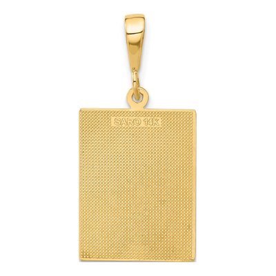 14K Yellow Gold Caduceus Pendant – view 4