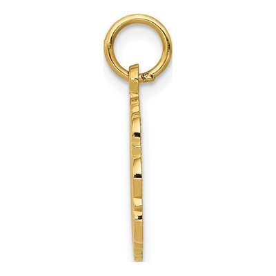 14K Yellow Gold RN Registered Nurse Disc Charm – view 3