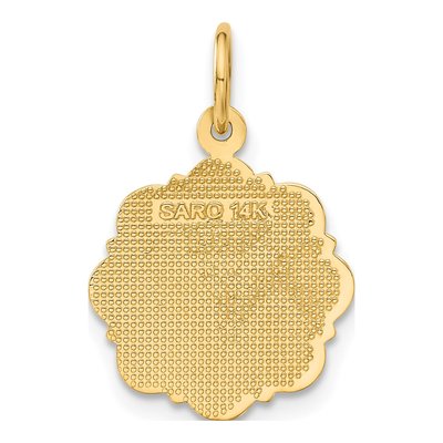 14K Yellow Gold RN Registered Nurse Disc Charm – view 4