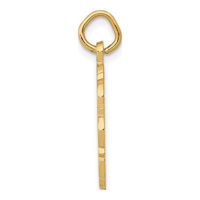 14K Yellow Gold RN Nurse Disc Charm – view 3