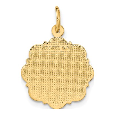 14K Yellow Gold RN Nurse Disc Charm – view 4