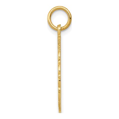 14K Yellow Gold Registered Nurse Disc Charm – view 3