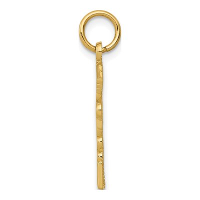 14K Yellow Gold RNP Charm – view 3