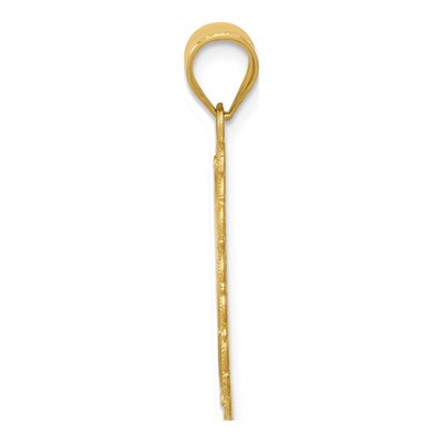 14K Yellow Gold Leo Zodiac Oval Pendant – view 3