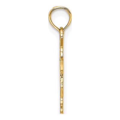 14K Yellow Gold YORK Apple Pendant – view 3