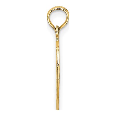 14K Yellow Gold NY Apple Charm – view 3