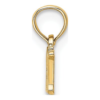 14K Yellow Gold R.N Charm – view 3