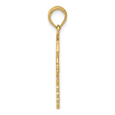14K Yellow Gold Caduceus Nurses Cap Pendant – view 3