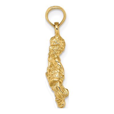 14K Yellow Gold 3-D Aquarius Zodiac Charm – view 3