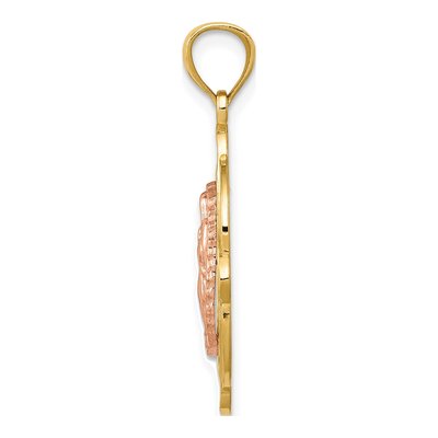 14K Two-Tone Gold Our of Guadalupe Pendant – view 3
