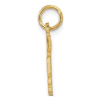 14K Yellow Gold Registered Nurse Pendant – view 3