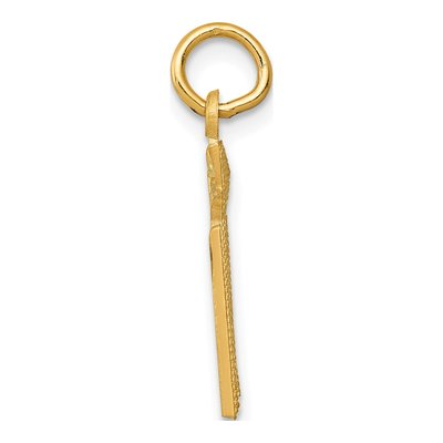 14K Yellow Gold RN Nurse Pendant – view 3