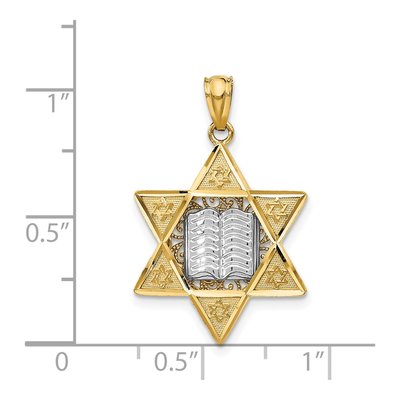 14K Two-Tone Gold Star of David Torah Pendant – view 4